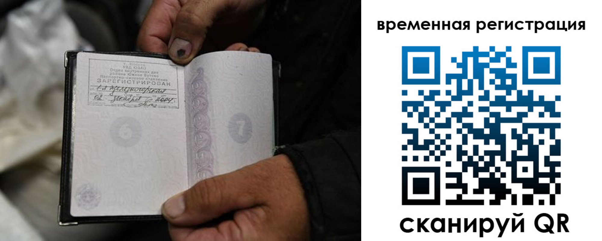 прописка поиск в Хвалынске
